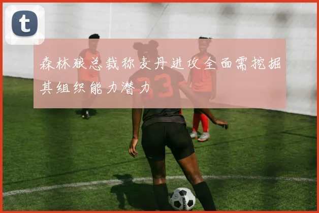 森林狼总裁称麦丹进攻全面需挖掘其组织能力潜力