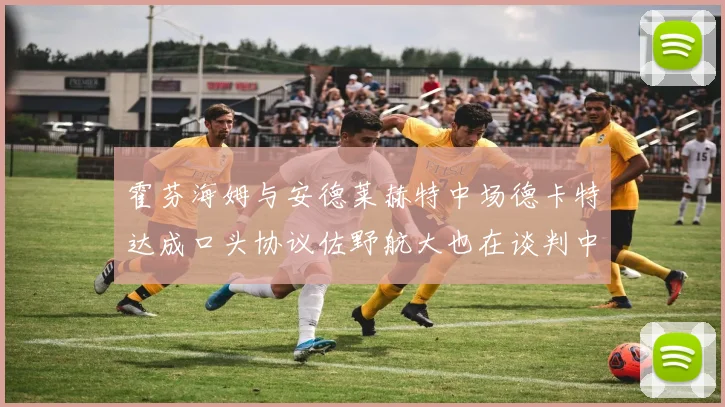 霍芬海姆与安德莱赫特中场德卡特达成口头协议佐野航大也在谈判中
