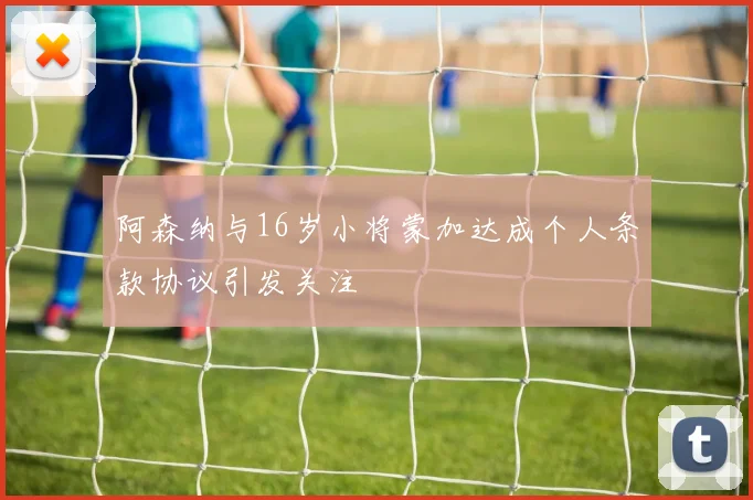 阿森纳与16岁小将蒙加达成个人条款协议引发关注